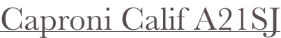shapeimage_2_link_0